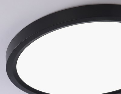 Потолочный светильник Ambrella Orbital FZ1906 BK