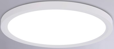 Потолочный светильник Ambrella Orbital FZ1907 WH - фото