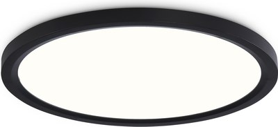 Потолочный светильник Ambrella Orbital FZ1908 BK