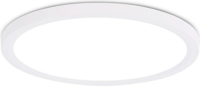 Потолочный светильник Ambrella Orbital FZ1909 WH