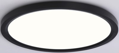 Потолочный светильник Ambrella Orbital FZ1910 BK - фото