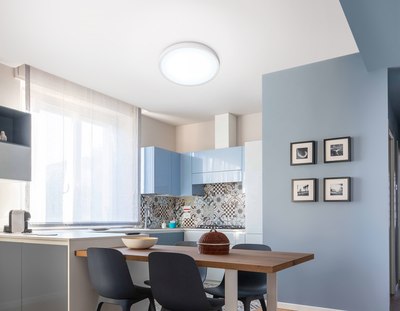 Потолочный светильник Ambrella Orbital FZ1951 WH