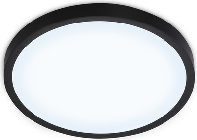 Потолочный светильник Ambrella FZ1953 BK