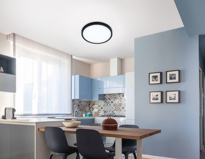 Потолочный светильник Ambrella FZ1953 BK