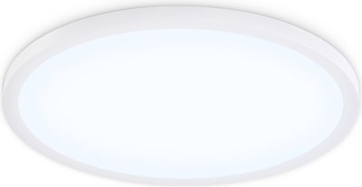 Потолочный светильник Ambrella Orbital FZ1955 WH