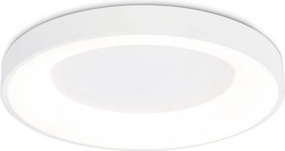 Потолочный светильник Ambrella Orbital FZ1401 WH