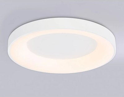 Потолочный светильник Ambrella Orbital FZ1401 WH