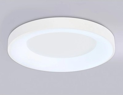 Потолочный светильник Ambrella Orbital FZ1401 WH