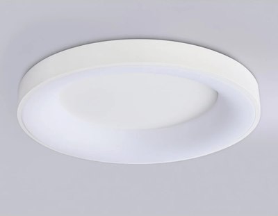 Потолочный светильник Ambrella Orbital FZ1401 WH