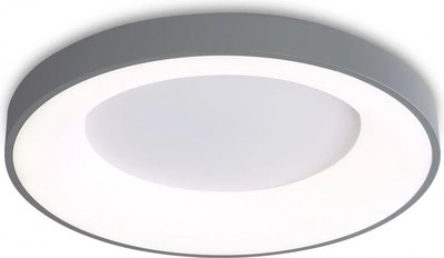 Потолочный светильник Ambrella Orbital FZ1402 GR