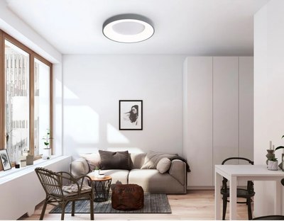 Потолочный светильник Ambrella Orbital FZ1402 GR