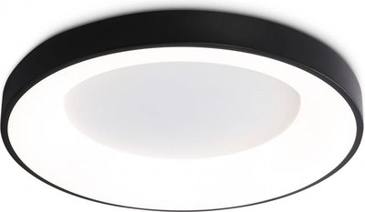 Потолочный светильник Ambrella Orbital FZ1403 BK