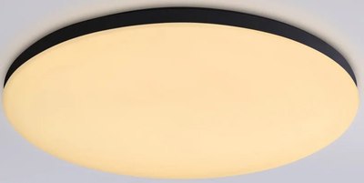 Потолочный светильник Ambrella Smart Orbital FZ2004 BK - фото