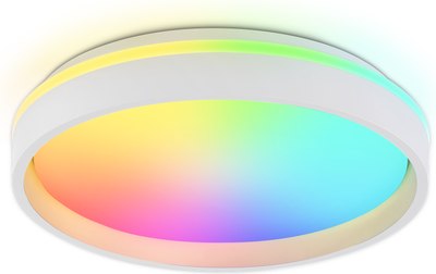 Потолочный светильник Ambrella Orbital FZ601 WH/GD