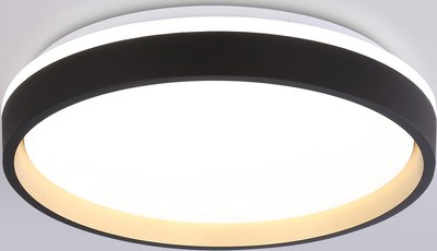 Потолочный светильник Ambrella Orbital FZ604 BK/GD - фото