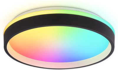 Потолочный светильник Ambrella Orbital FZ604 BK/GD