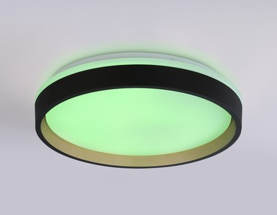 Потолочный светильник Ambrella Orbital FZ604 BK/GD