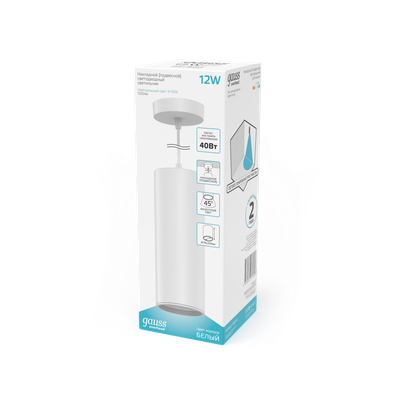 Потолочный светильник Gauss Overhead 12W 920lm 4100K 170-240V IP20 / HD036