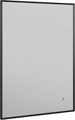 Зеркало Briz Эдис 100x70 / 243 01-53100-00 00