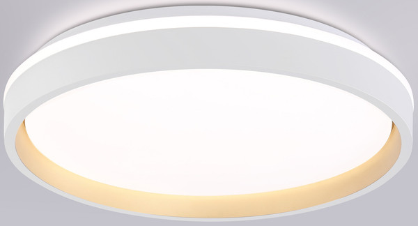 Потолочный светильник Ambrella Orbital FZ607 WH/GD - фото