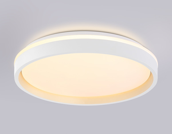 Потолочный светильник Ambrella Orbital FZ607 WH/GD