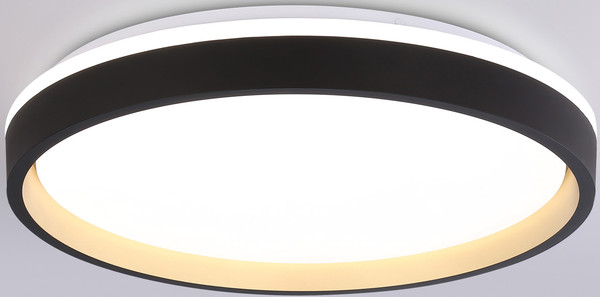 Потолочный светильник Ambrella Orbital FZ610 BK/GD - фото