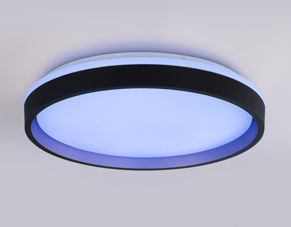 Потолочный светильник Ambrella Orbital FZ610 BK/GD