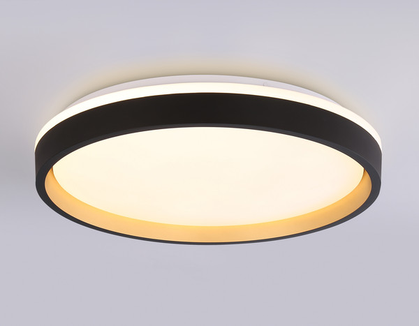 Потолочный светильник Ambrella Orbital FZ610 BK/GD