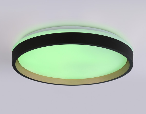 Потолочный светильник Ambrella Orbital FZ610 BK/GD