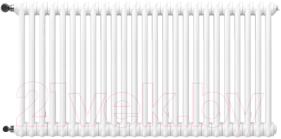 Радиатор стальной Arbonia 2057/25 12 (левый, боковое подключение) - фото