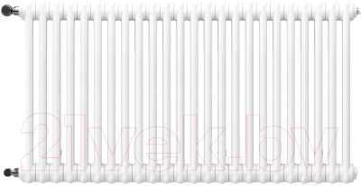 Радиатор стальной Arbonia 2057/24 12 - фото