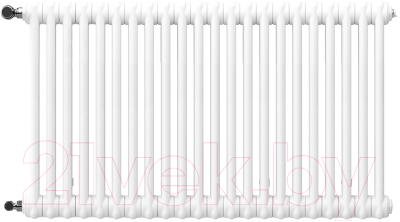 Радиатор стальной Arbonia 2057/22 12 - фото