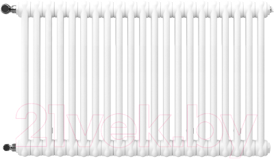 Радиатор стальной Arbonia 2057/21 12 - фото