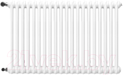 Радиатор стальной Arbonia 2057/20 12 - фото