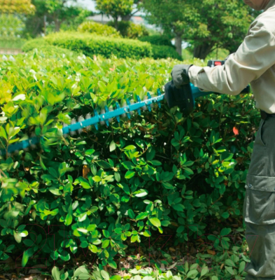 Кусторез аккумуляторный Makita DUH752Z