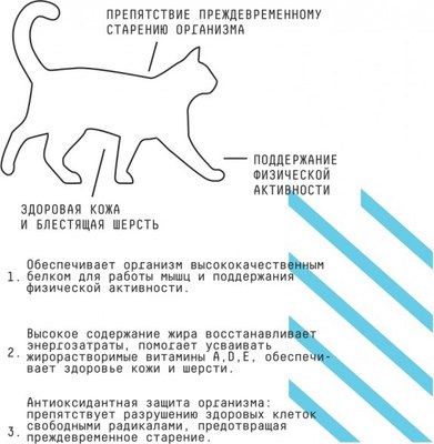 Сухой корм для кошек AJO Аctive полнорационный для взрослых кошек