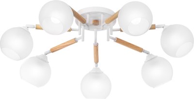 Люстра Citilux Tika CL133170