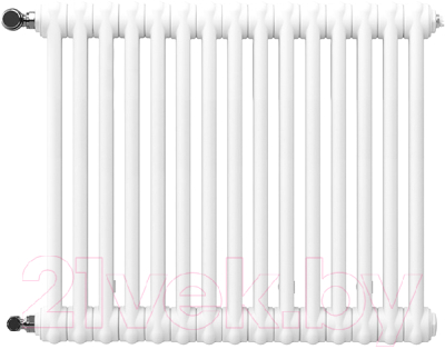 Радиатор стальной Arbonia 2057/15 12 - фото