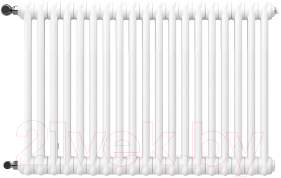 Радиатор стальной Arbonia 2057/19 12 - фото