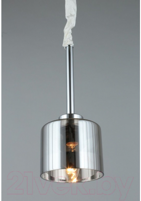 Потолочный светильник Omnilux Alassio OML-55806-01