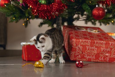 Набор игрушек для кошек Beeztees 2400161