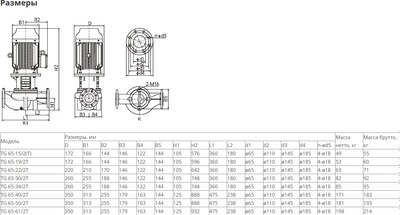 Центробежный насос Wellmix TG 65-15/2T BQQE / 12019966