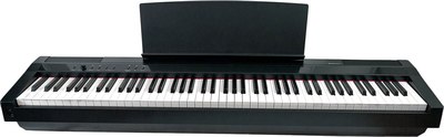 Цифровое фортепиано Solista DP125BK - фото