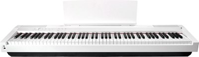 Цифровое фортепиано Solista DP125WH - фото