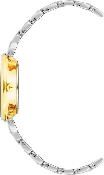 Часы наручные женские Anne Klein AK/2159BKTT