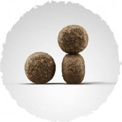 Сухой корм для собак Josera High Energy