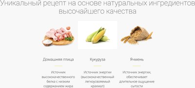 Сухой корм для кошек Josera JosiCat Kitten