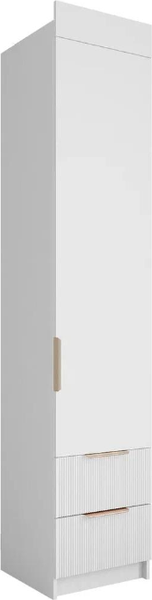 Шкаф-пенал ДСВ Лавис ШД 450.1 - фото