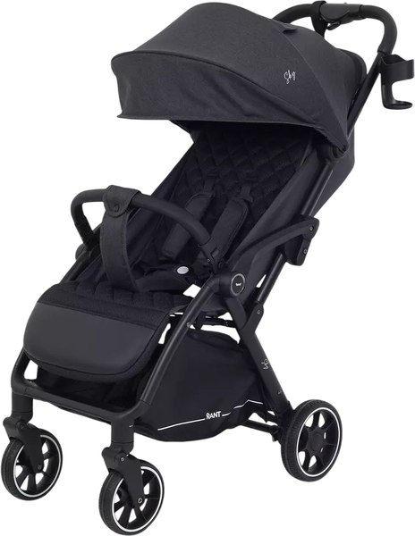 Детская прогулочная коляска Rant Sky / RA400 - фото