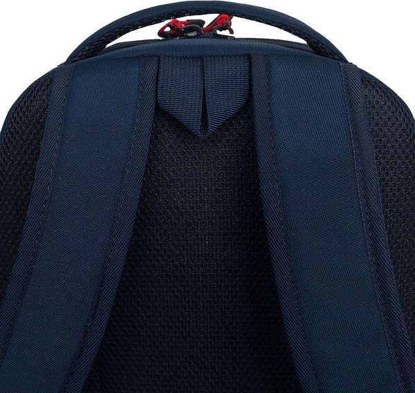 Школьный рюкзак Grizzly RB-551-4